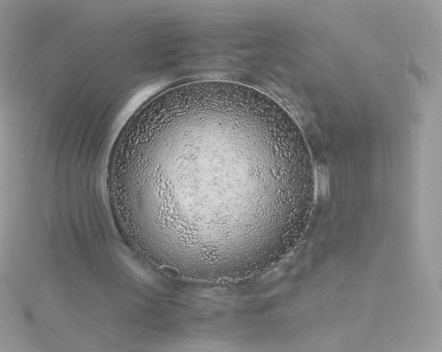 X0000115820147200911271145