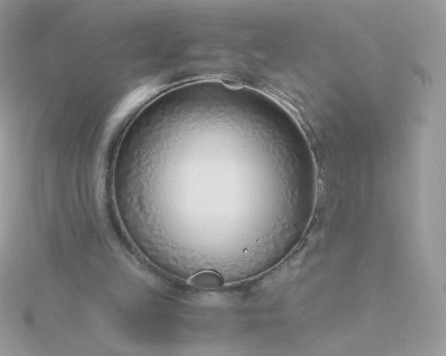 X0000115820149200911271145