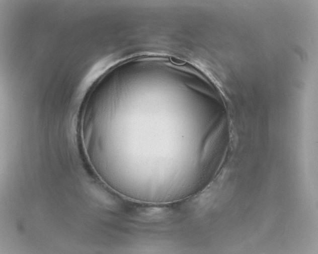 X0000115820151200911271145