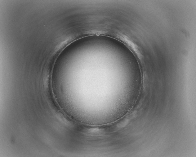 X0000115820153200911271145