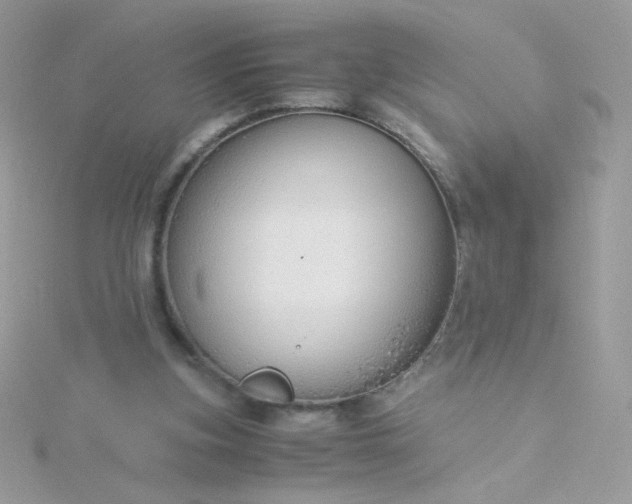 X0000115820155200911271145