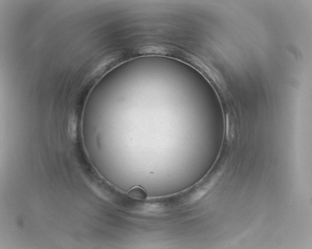 X0000115820157200911271145