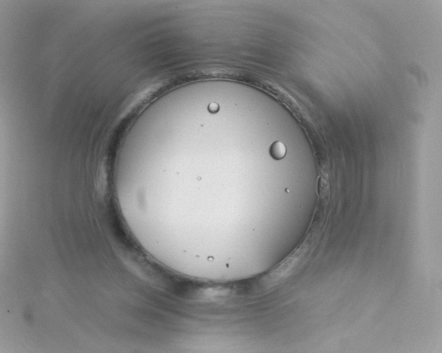 X0000115820158200911271145