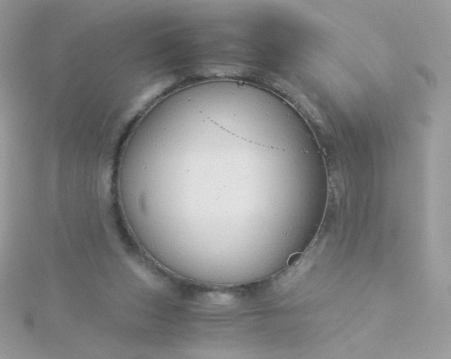 X0000115820159200911271145