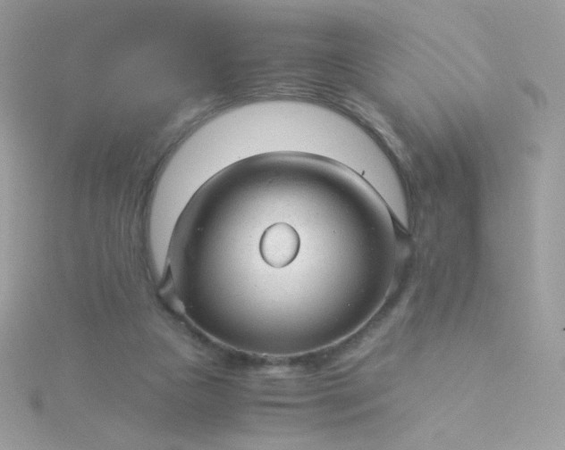 X0000115820161200911271145