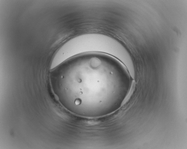 X0000115820165200911271145