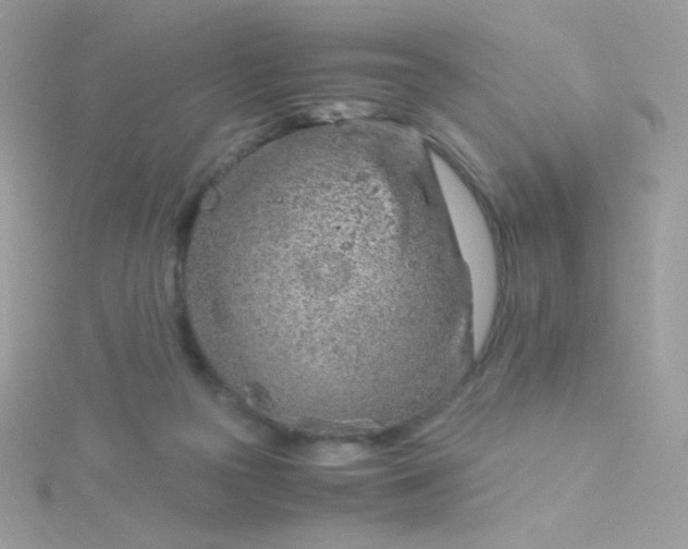 X0000115820169200911271145