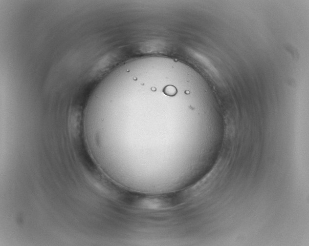 X0000115820171200911271145