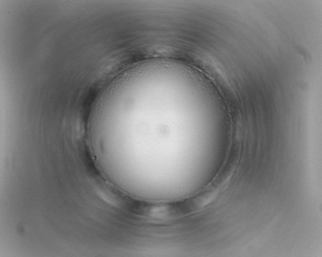 X0000115820173200911271145