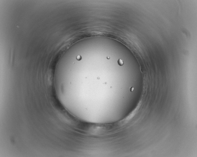 X0000115820174200911271145