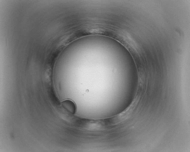 X0000115820175200911271145