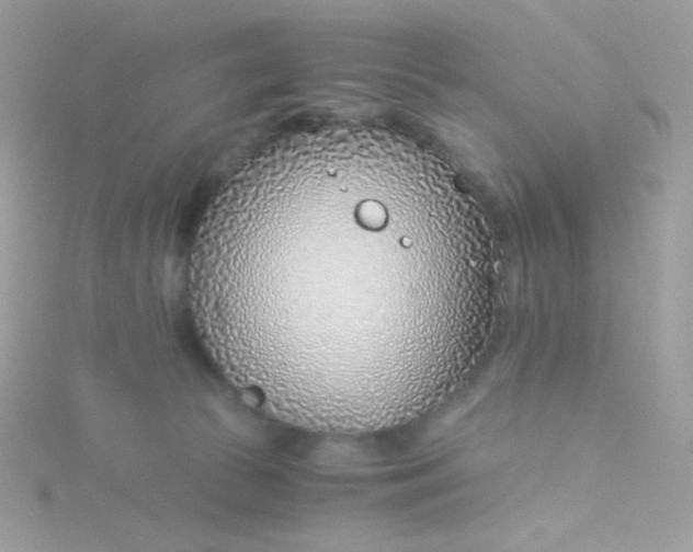 X0000115820177200911271145