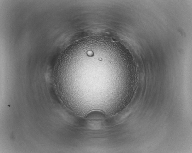 X0000115820181200911271145