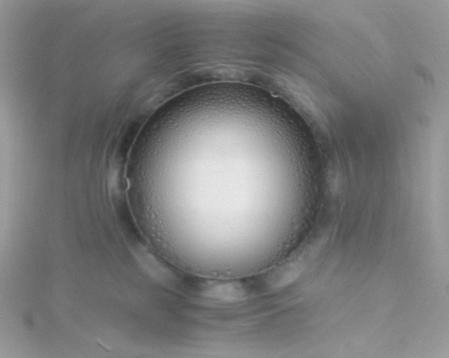 X0000115820185200911271145