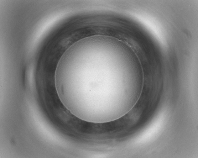 X0000115820189200911271145