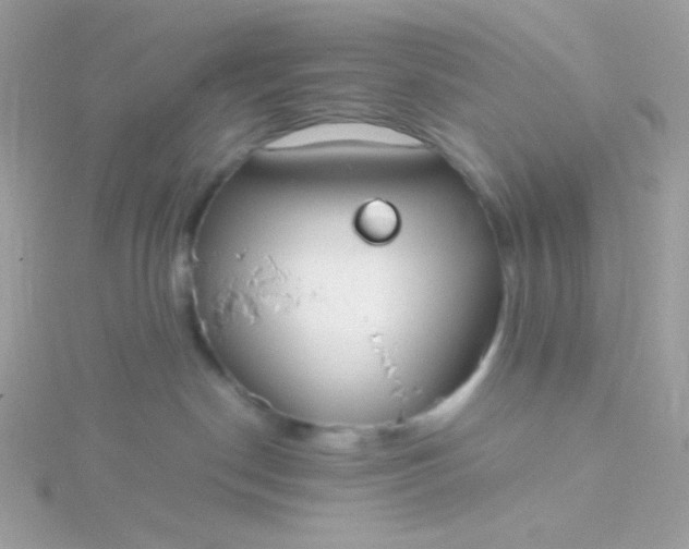 X0000115820190200911271145