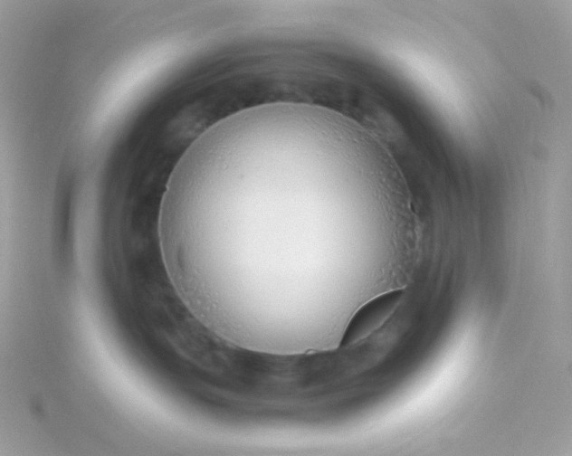 X0000115820191200911271145