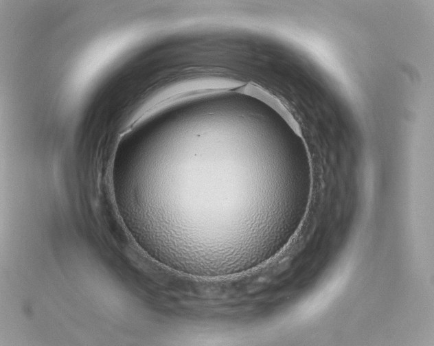 X0000115820194200911271145