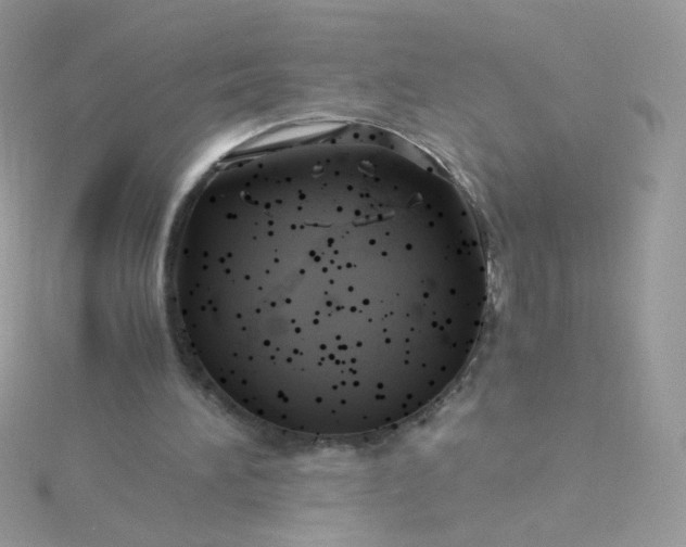 X0000115820196200911271145