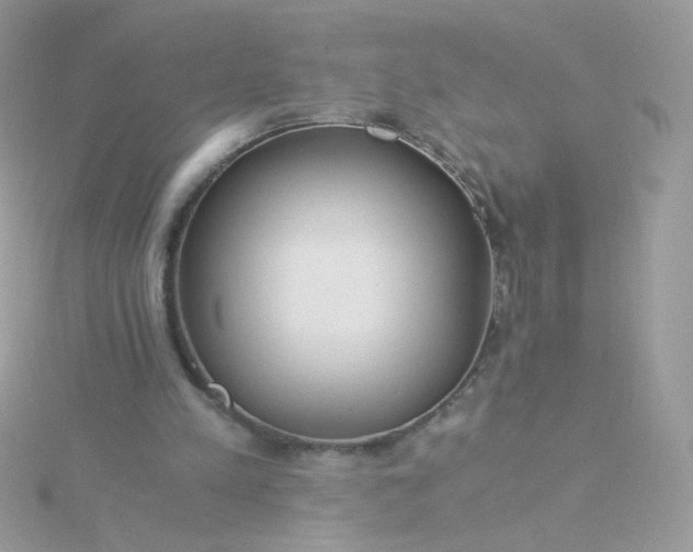 X0000115820197200911271145