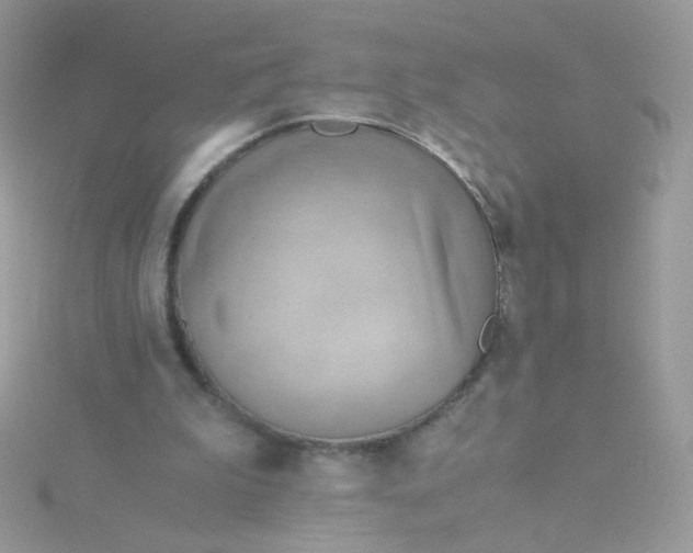 X0000115820199200911271145