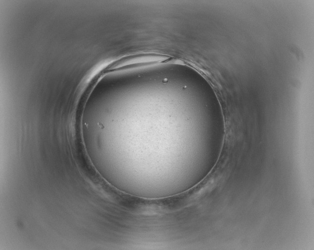 X0000115820200200911271145