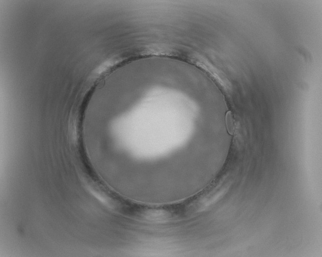 X0000115820203200911271145