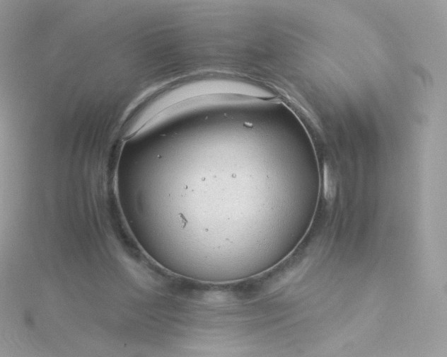 X0000115820204200911271145