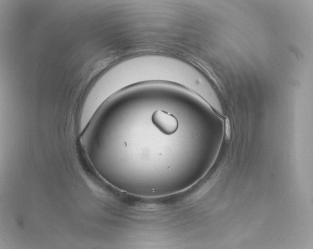 X0000115820205200911271145