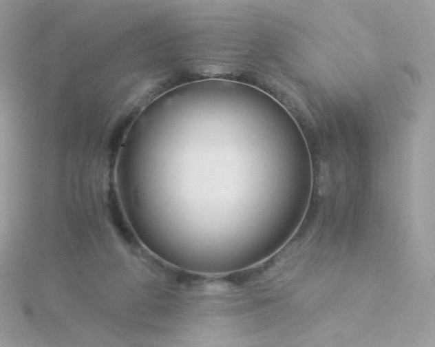 X0000115820210200911271144