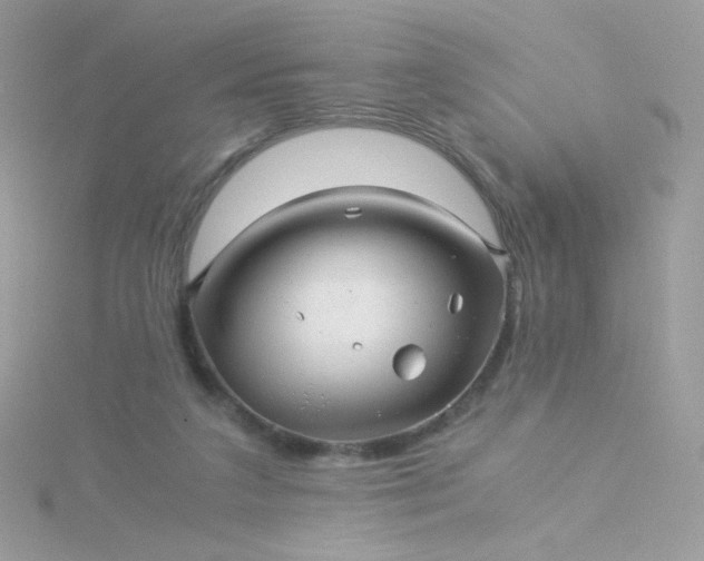 X0000115820211200911271144