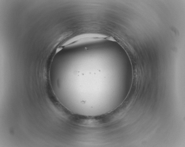 X0000115820212200911271144