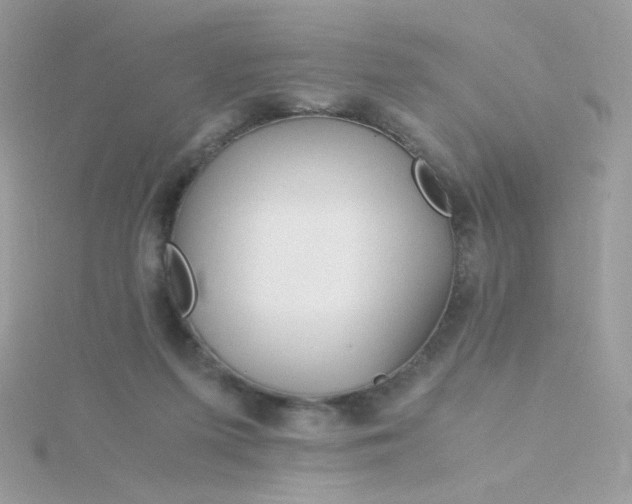 X0000115820215200911271144