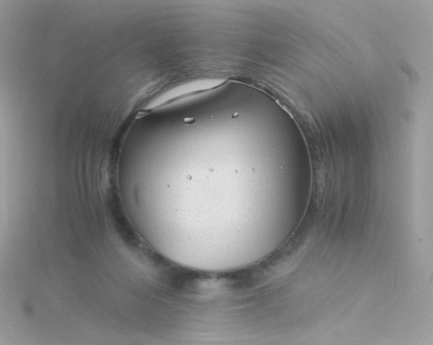 X0000115820216200911271144