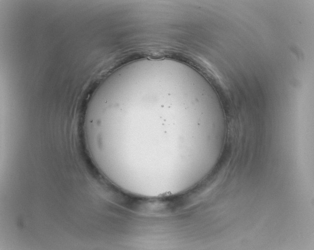 X0000115820217200911271144