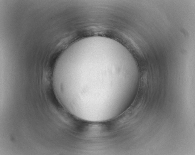 X0000115820218200911271144