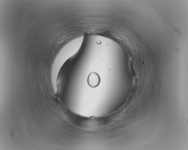 X0000115820219200911271144