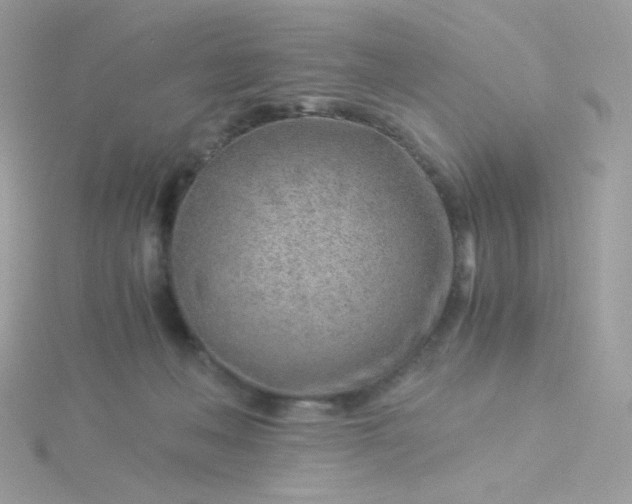 X0000115820222200911271144