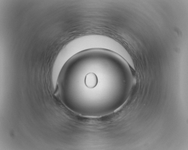 X0000115820223200911271144