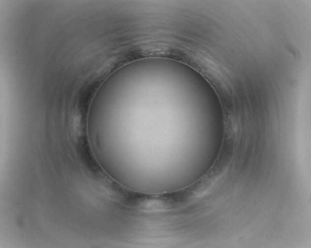 X0000115820224200911271144