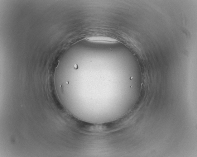 X0000115820225200911271144