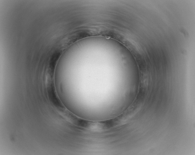 X0000115820226200911271144