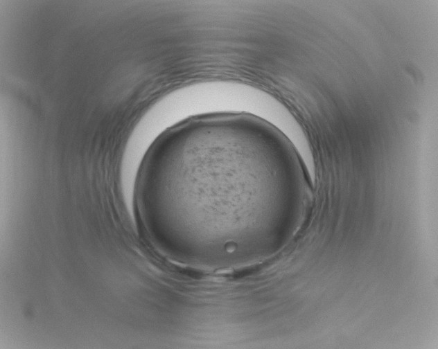 X0000115820227200911271144