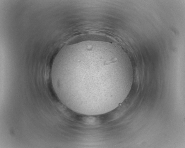 X0000115820230200911271144