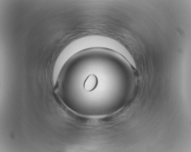 X0000115820231200911271144