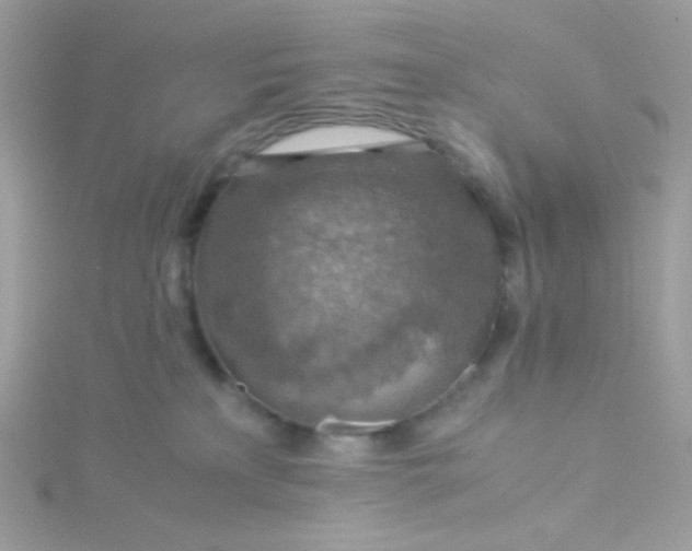 X0000115820233200911271144