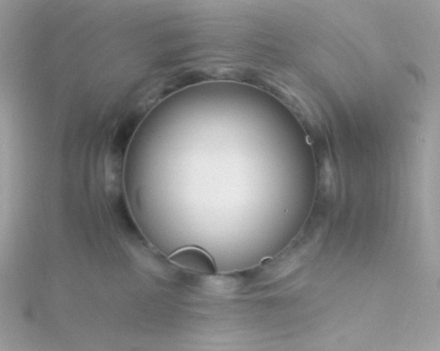 X0000115820234200911271144