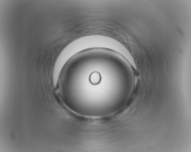 X0000115820235200911271144