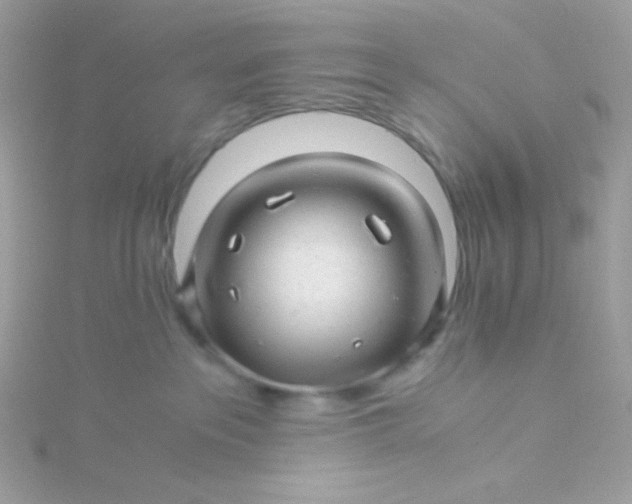 X0000115820237200911271144