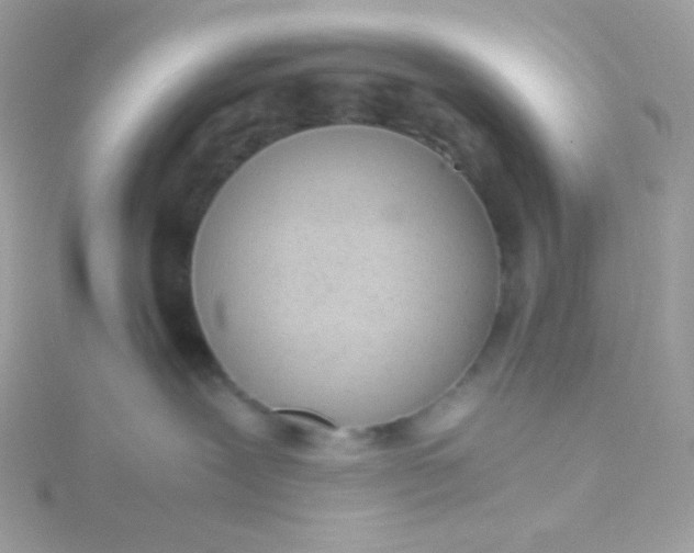 X0000115820239200911271144